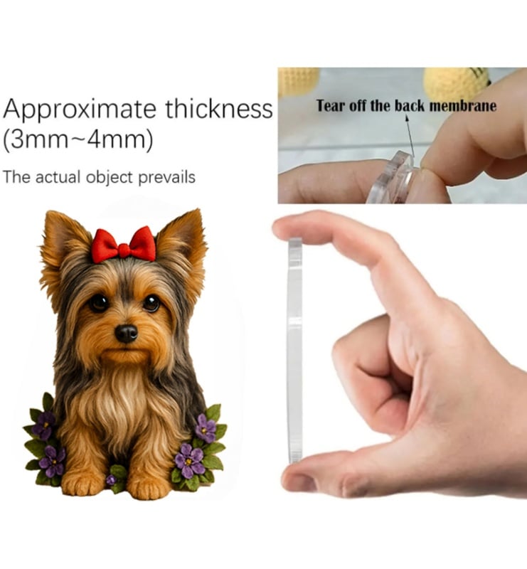 Yorkshire teriér Sweet Wonderland | Adventní kalendář 2025